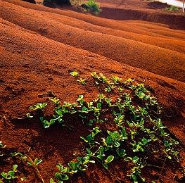 开放世界冒险《Tchia》新演示 2023年发售